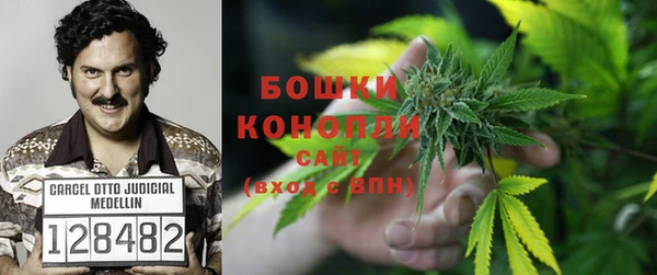 PSILOCYBIN Абдулино