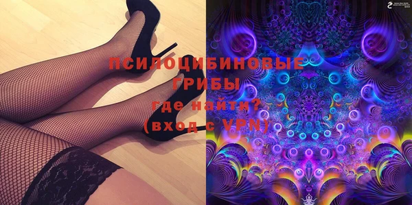 PSILOCYBIN Абдулино