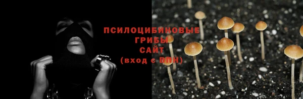 прущая мука Абаза
