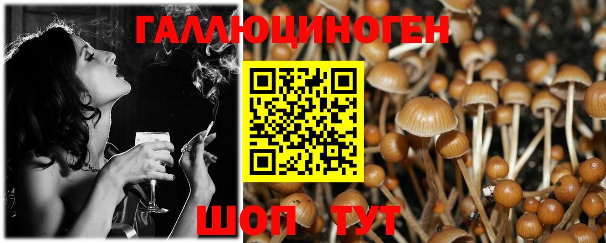 Галлюциногенные грибы GOLDEN TEACHER  Вход с VPN  Барнаул 